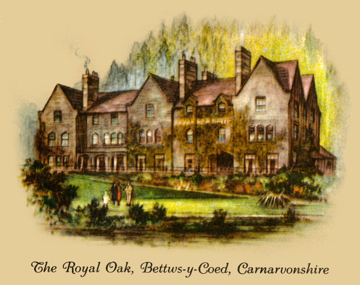 皇家橡树，Bettws-y-Coed，卡纳芬郡，1936年。 作者 不明