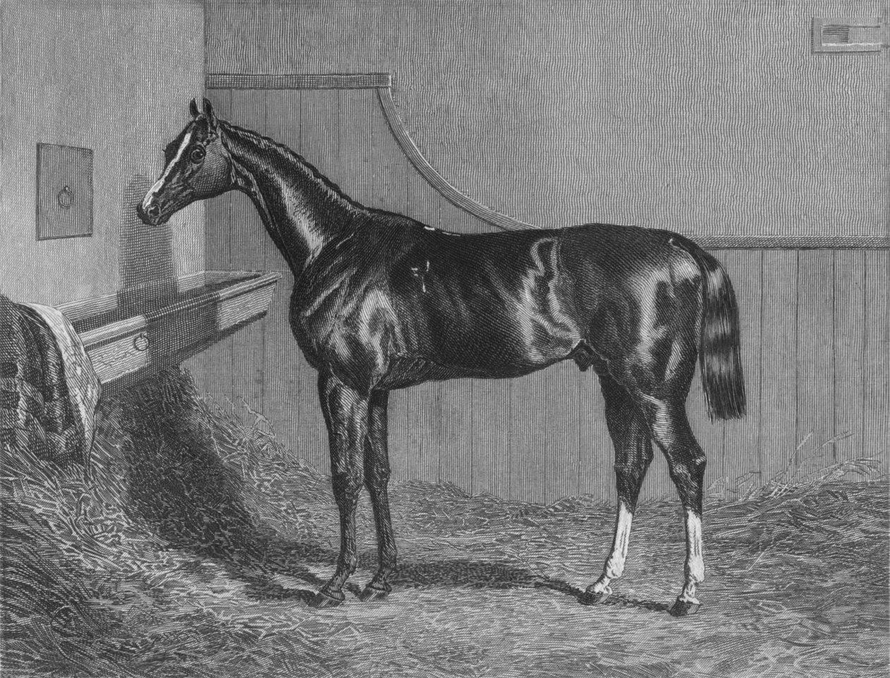 Rt。老公利奇菲尔德埃里斯伯爵。 1913年圣莱杰（St.Leger）的获胜者 作者 不明