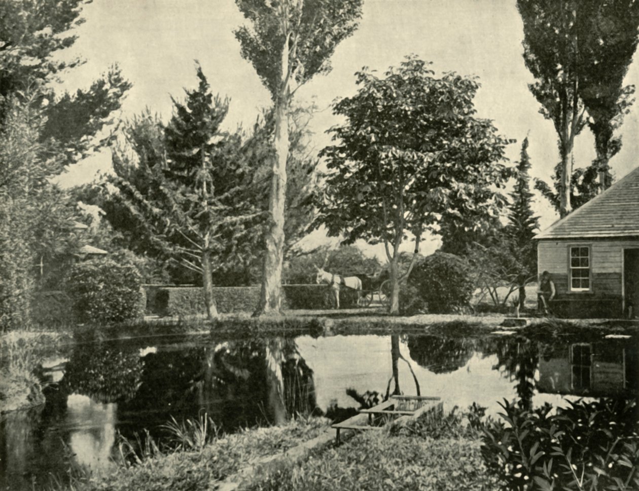 鲑鱼池塘，新诺福克，1901年。 作者 不明