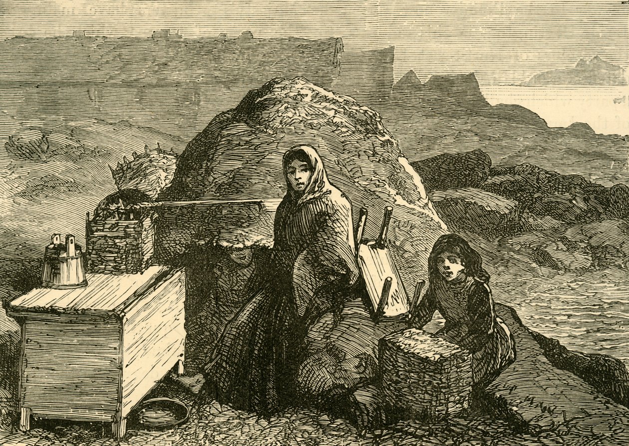 爱尔兰国：埃里斯莫尔附近的一个驱逐家庭，建于1880年。 作者 不明