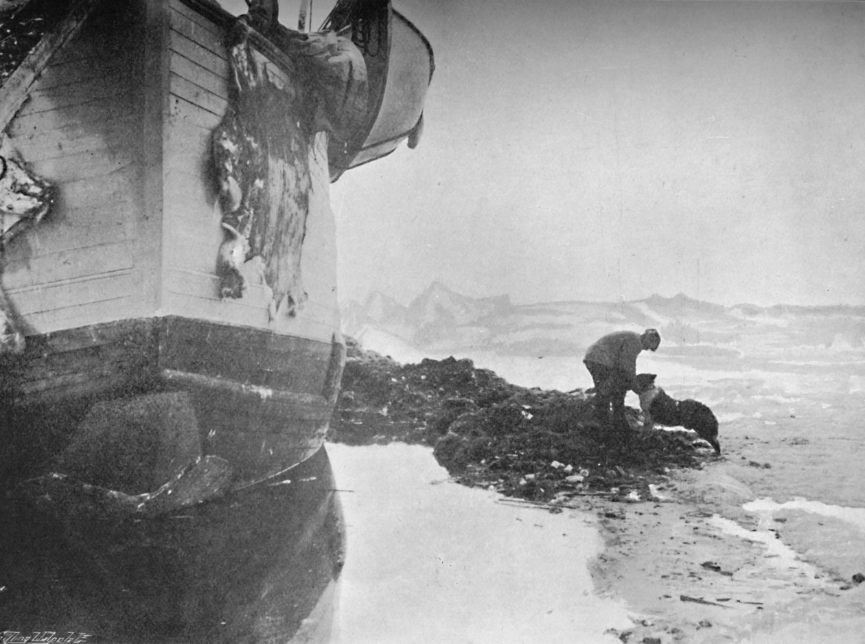 帧的船尾。约翰逊和苏丹，1894年6月16日，1897年 作者 不明