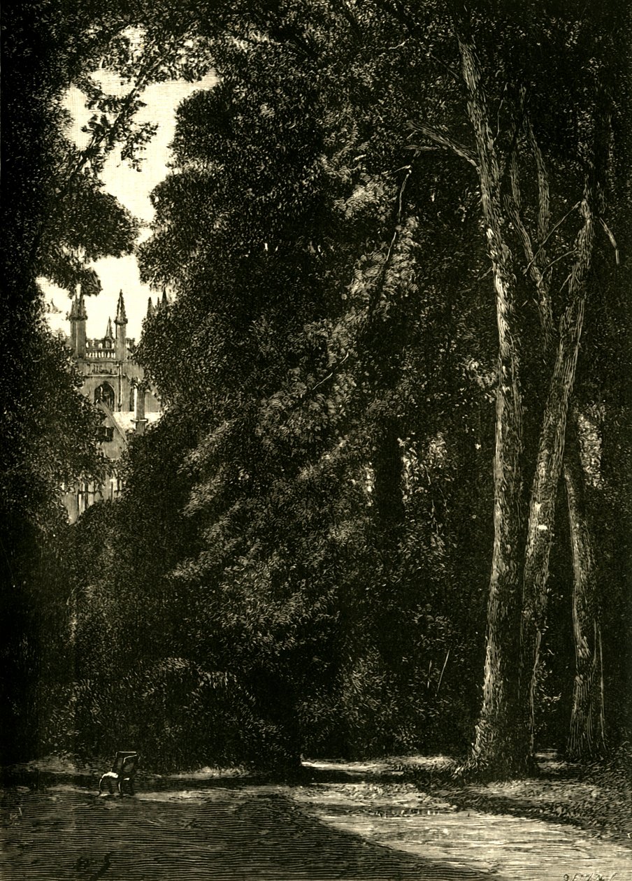默顿塔，来自花园，1898年。 作者 不明