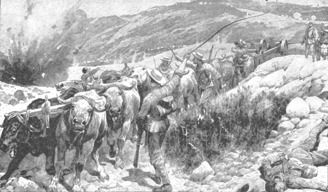 穿越战争，1899-1901年：抢劫的蓝夹克，1901年。 作者 不明