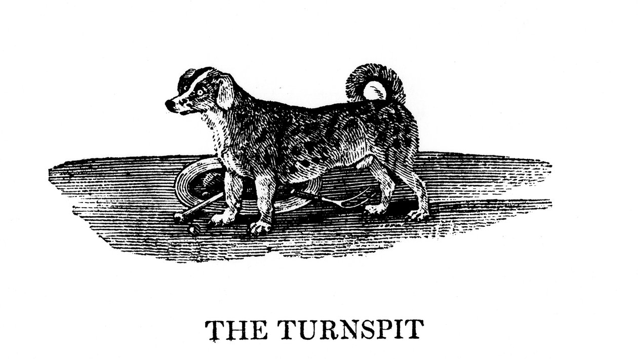 Tunspit，1790年 作者 不明