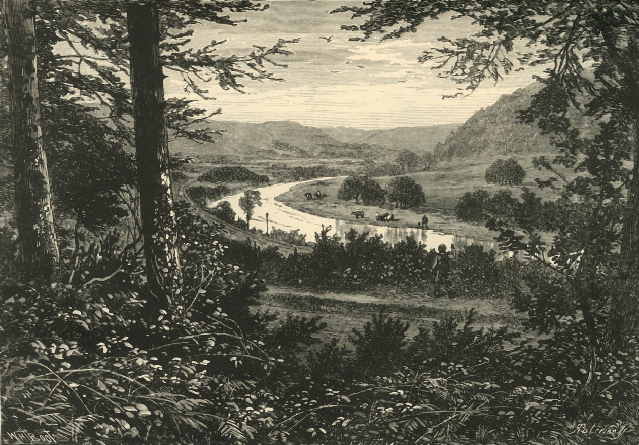 阿沃卡谷（Vale of Avoca），1898年。 作者 不明