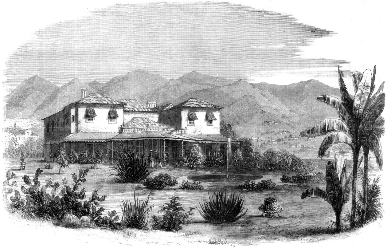 Vigia，葡萄牙马德拉岛，1861年 作者 不明