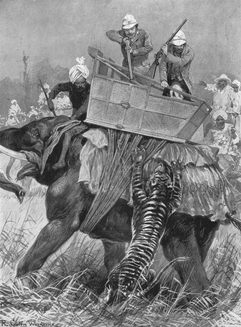 威尔士亲王前往印度的访问，1876年：1901年，由老虎指控的王子大象。 作者 不明