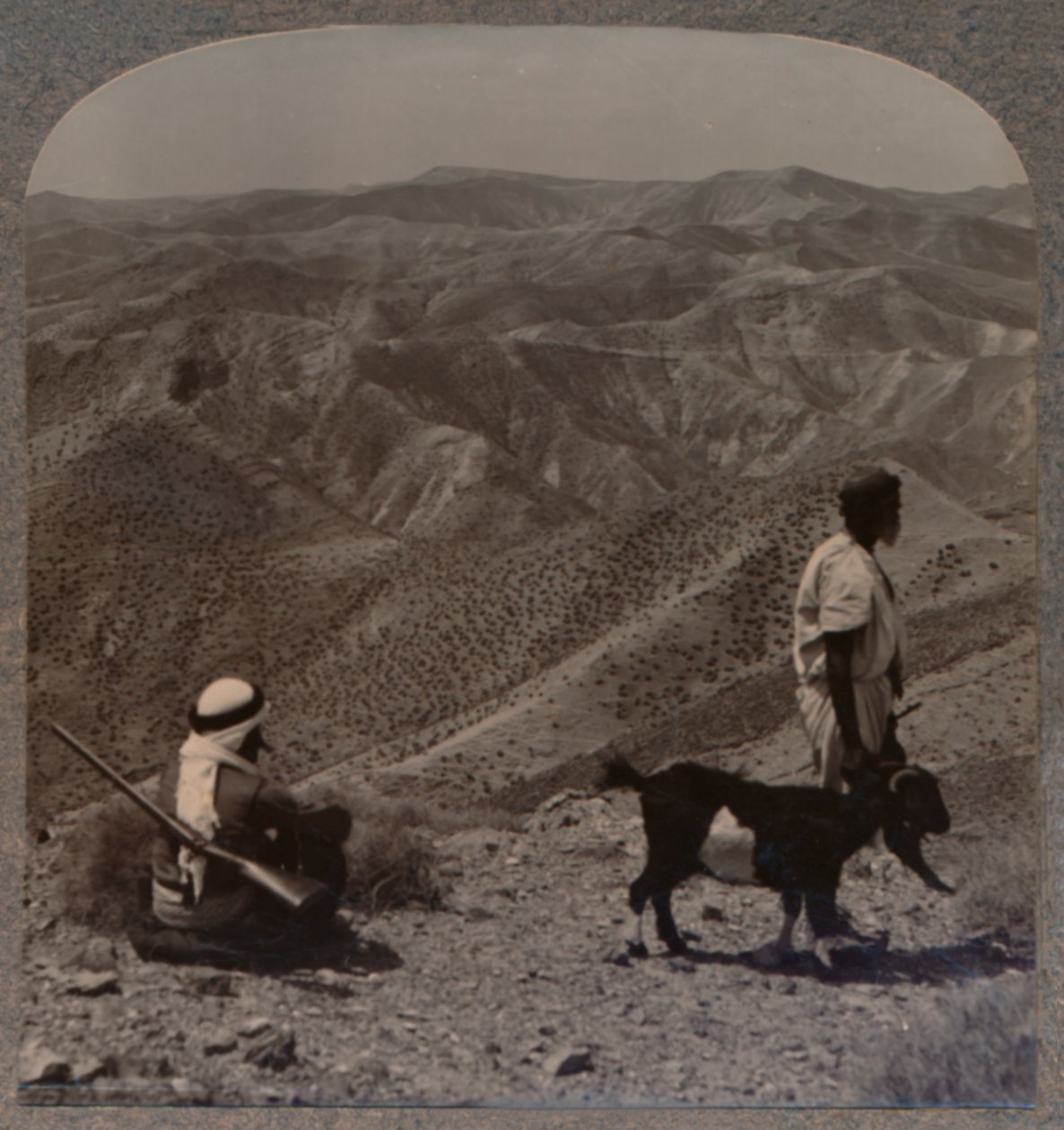 犹太的荒野和替罪羊的遗迹，c1900年 作者 不明