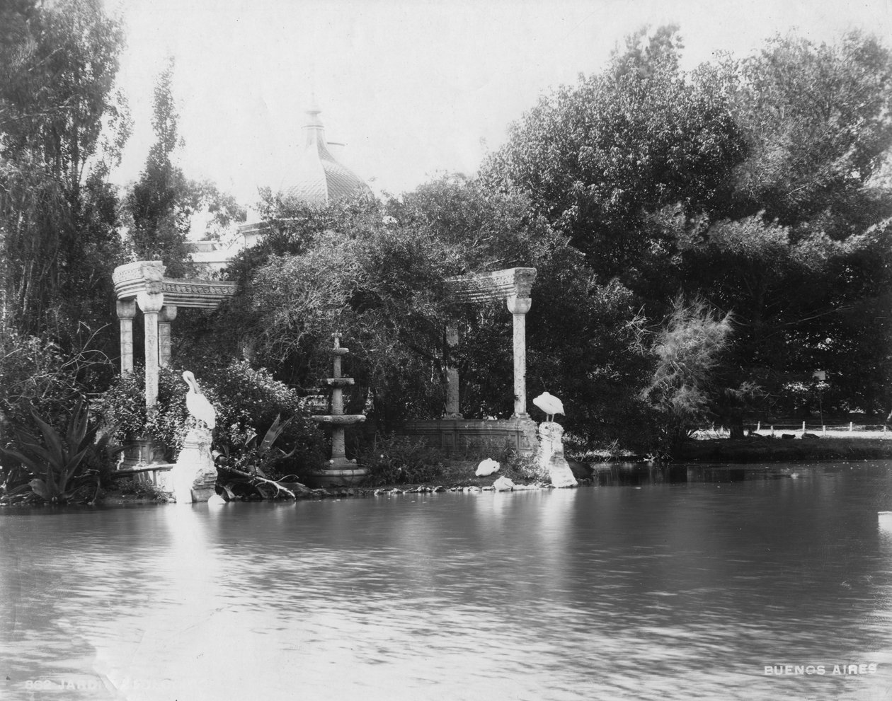 1927年，阿根廷布宜诺斯艾利斯，巴勒莫公园的植物园 作者 不明