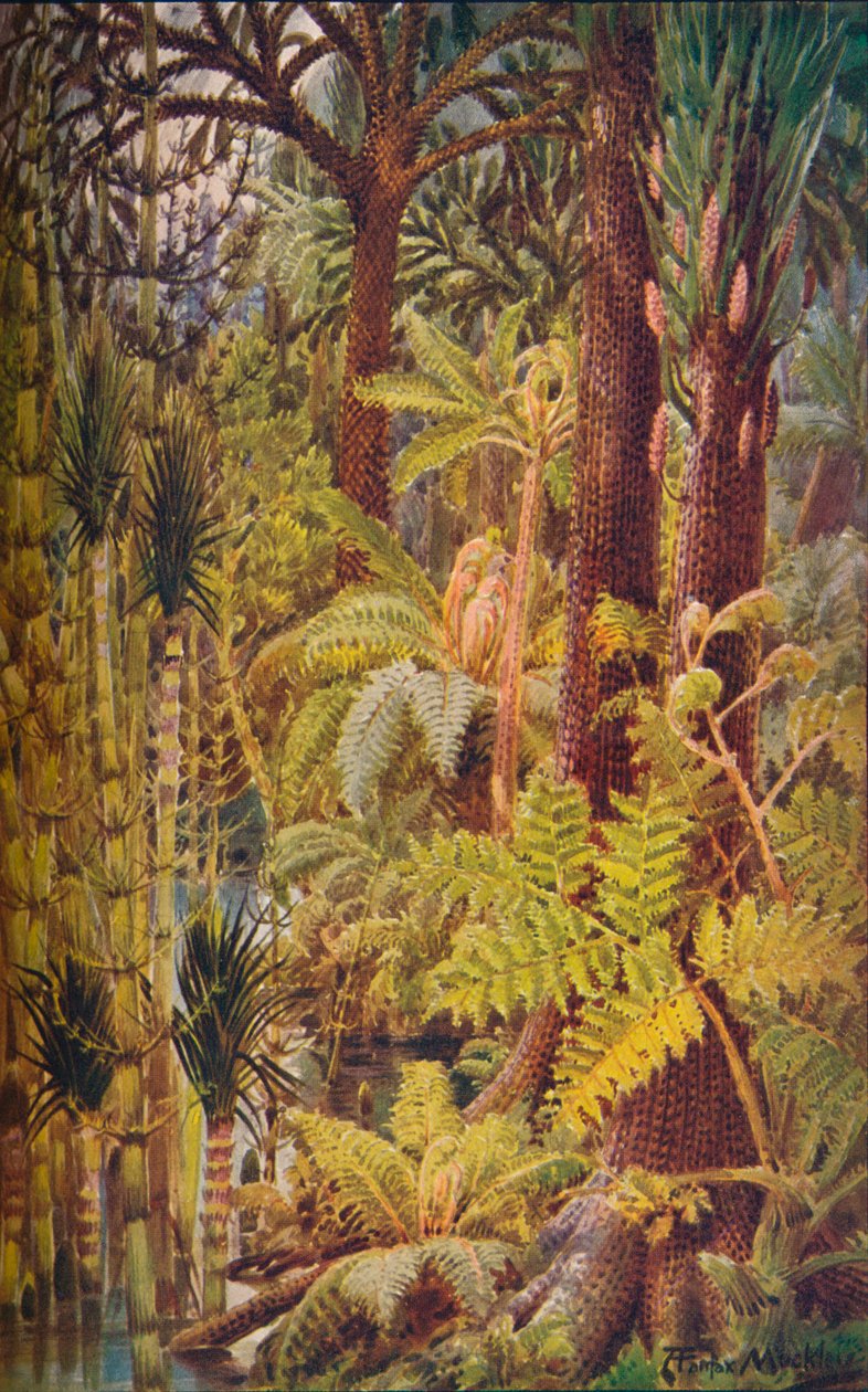 1907年石炭纪时代的巨型植被。 作者 不明