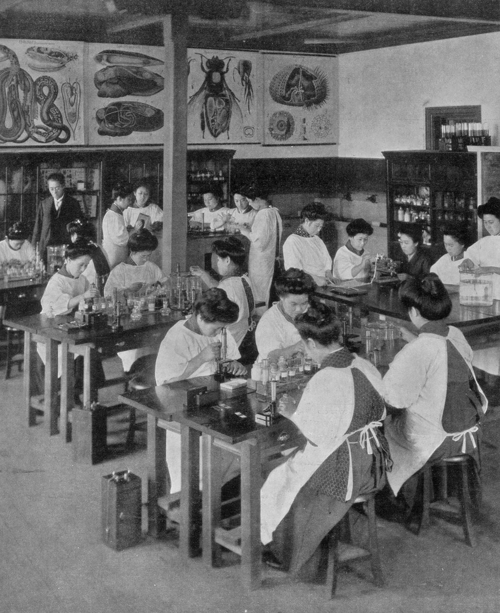 1910年日本的女性高等教育 作者 不明