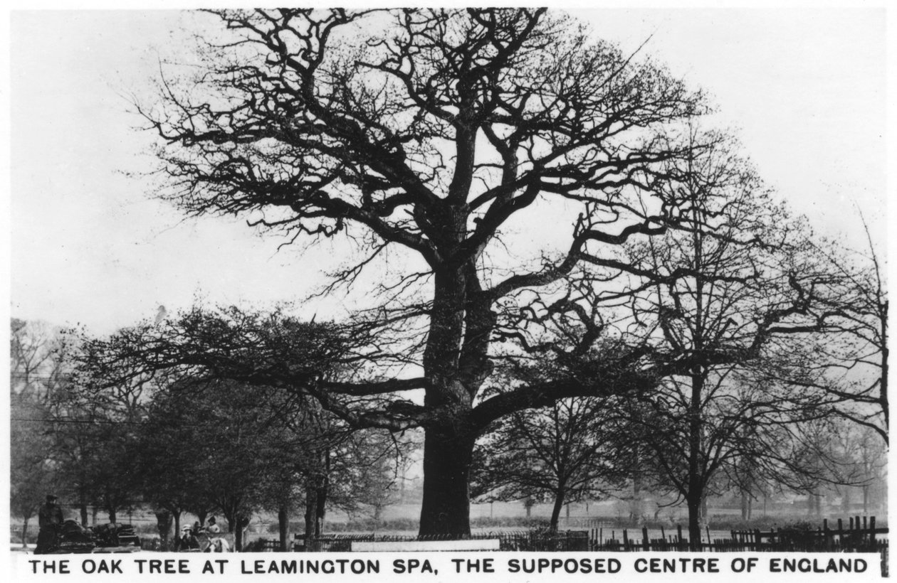 Leamington Spa（假定的英格兰中心）的橡木，1936年 作者 不明