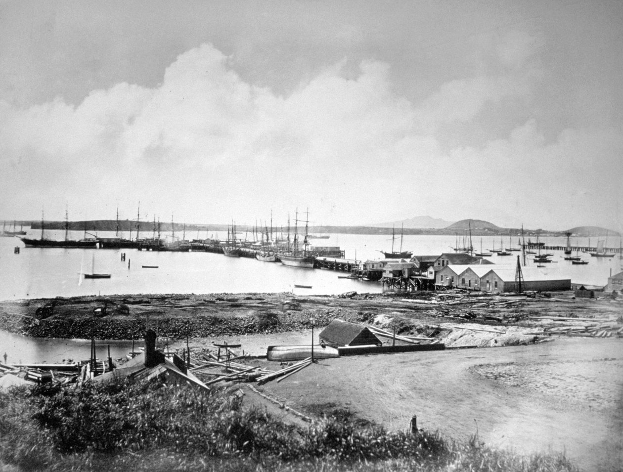 港口，奥克兰，新西兰，c1870-1880 作者 不明