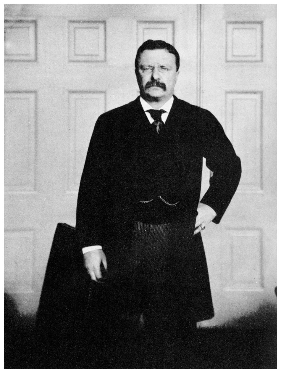 西奥多·罗斯福（Theodore Roosevelt），美国第26任总统，c1900年代1955年 作者 不明