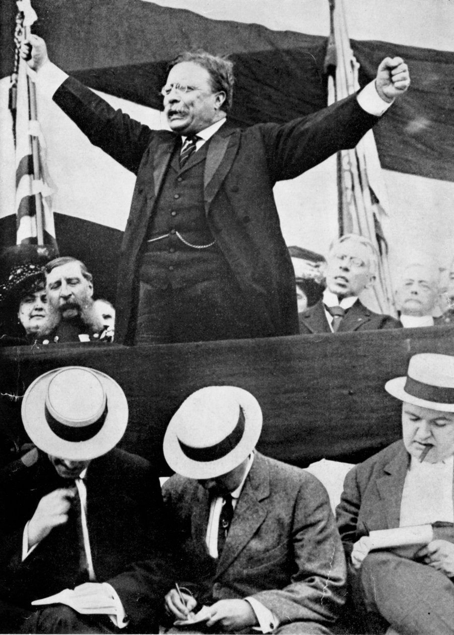 美国总统西奥多·罗斯福（Theodore Roosevelt），1901-1909年 作者 不明
