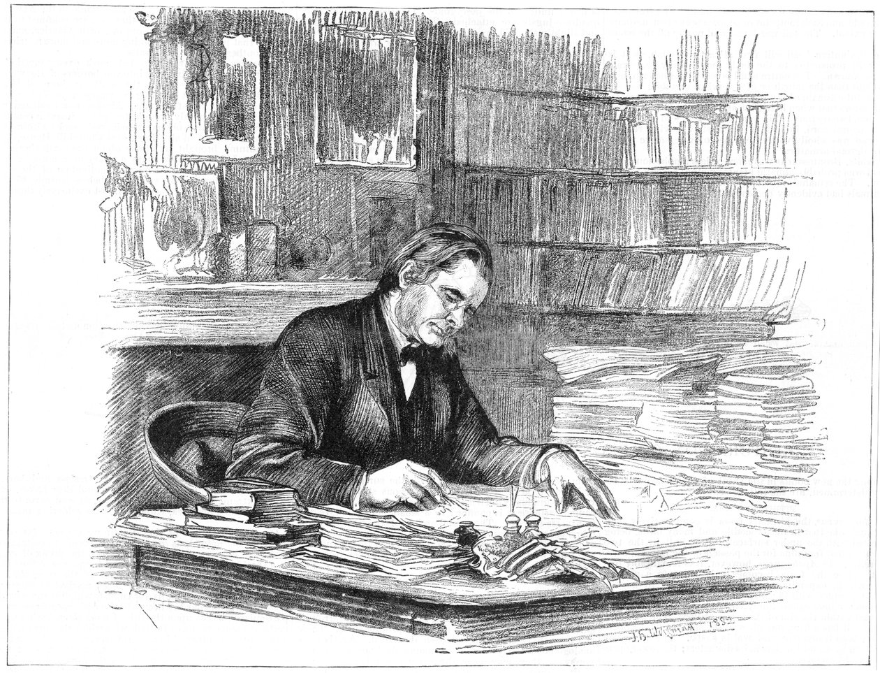 英国生物学家托马斯·亨利·赫x黎（Thomas Henry Huxley）在1882年作画，1883年 作者 不明