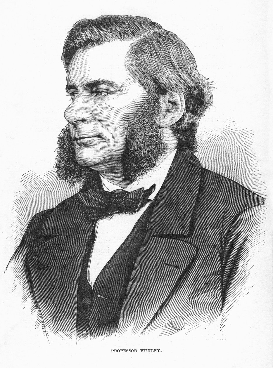英国生物学家托马斯·亨利·赫x黎（Thomas Henry Huxley），c1860年代 作者 不明