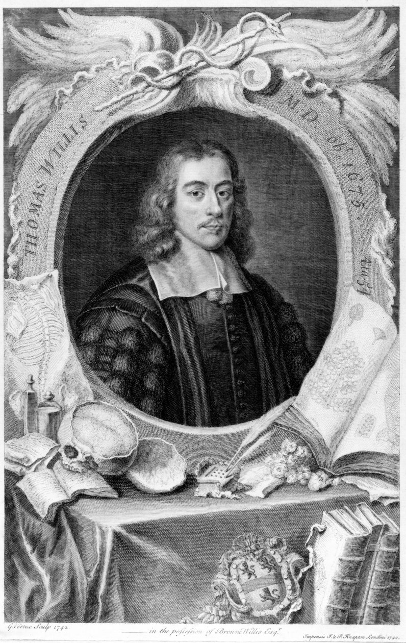 Thomas Willis, dokotala waku England, c 1660 作者 不明