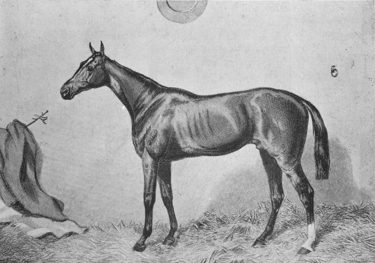 索曼比，c1860，1911 作者 不明