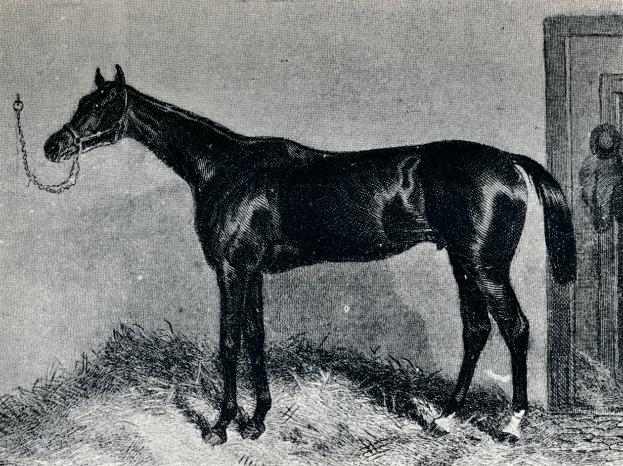 蒂姆·惠夫勒（Tim Whiffler），c1860年代，1911年 作者 不明