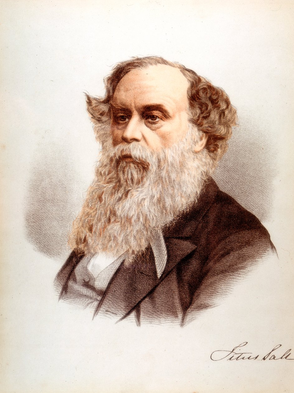 Titus Salt，英国羊毛订书机和实业家，c1880 作者 不明