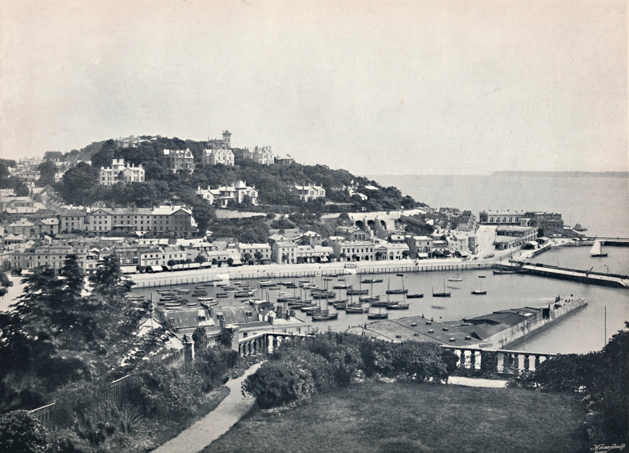 托基-Waldron Hill的全景，1895年 作者 不明