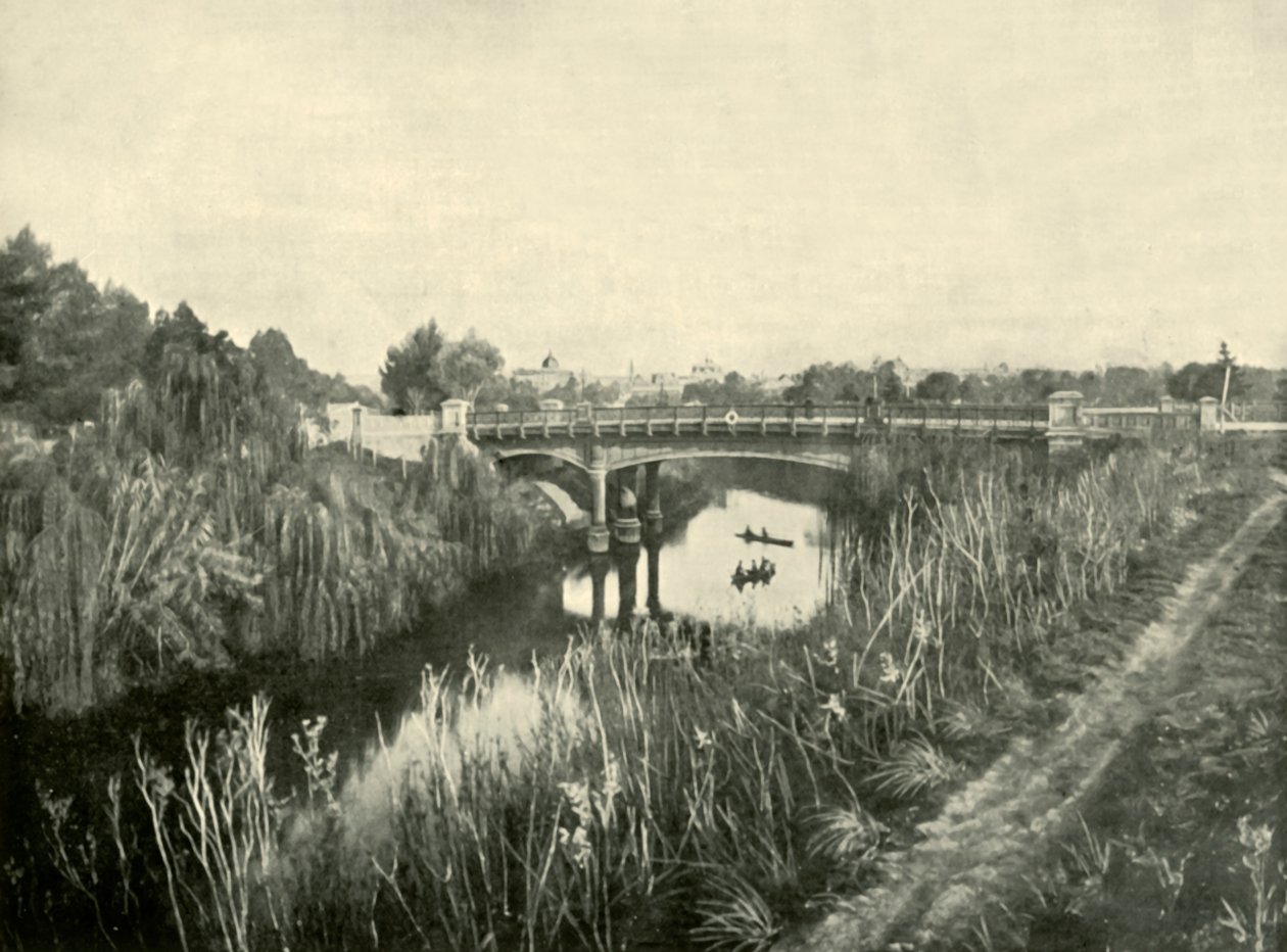 托伦斯湖，阿德莱德，1901年。 作者 不明