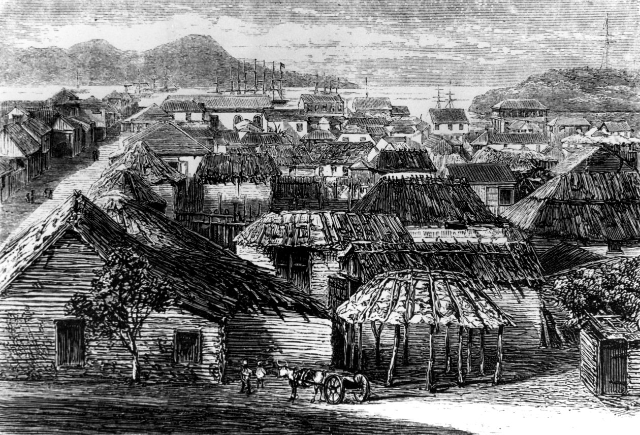 圣多明哥的普拉塔港镇和海湾，1873年 作者 不明
