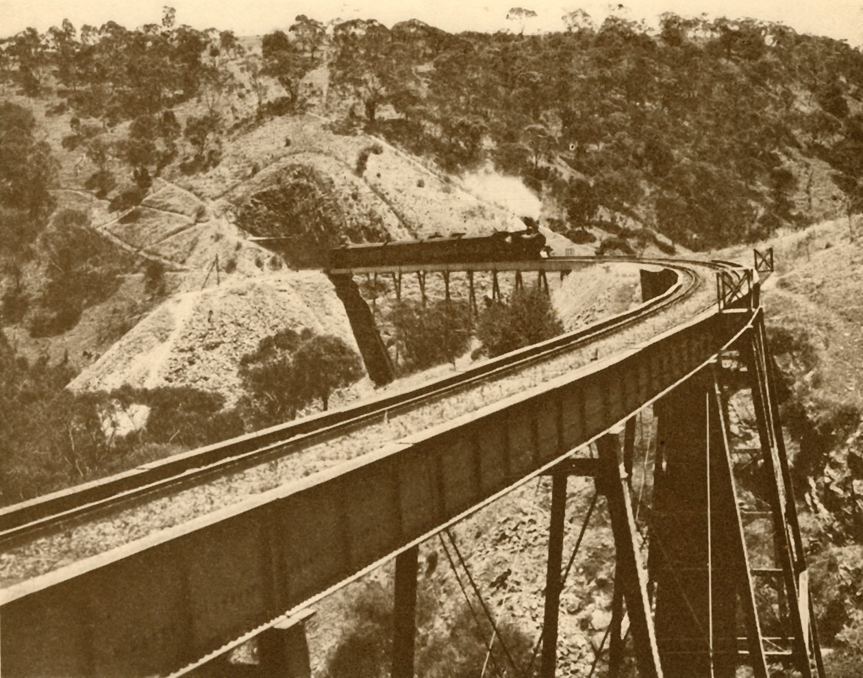 火车经过高架桥，南澳大利亚山，1930年。 作者 不明