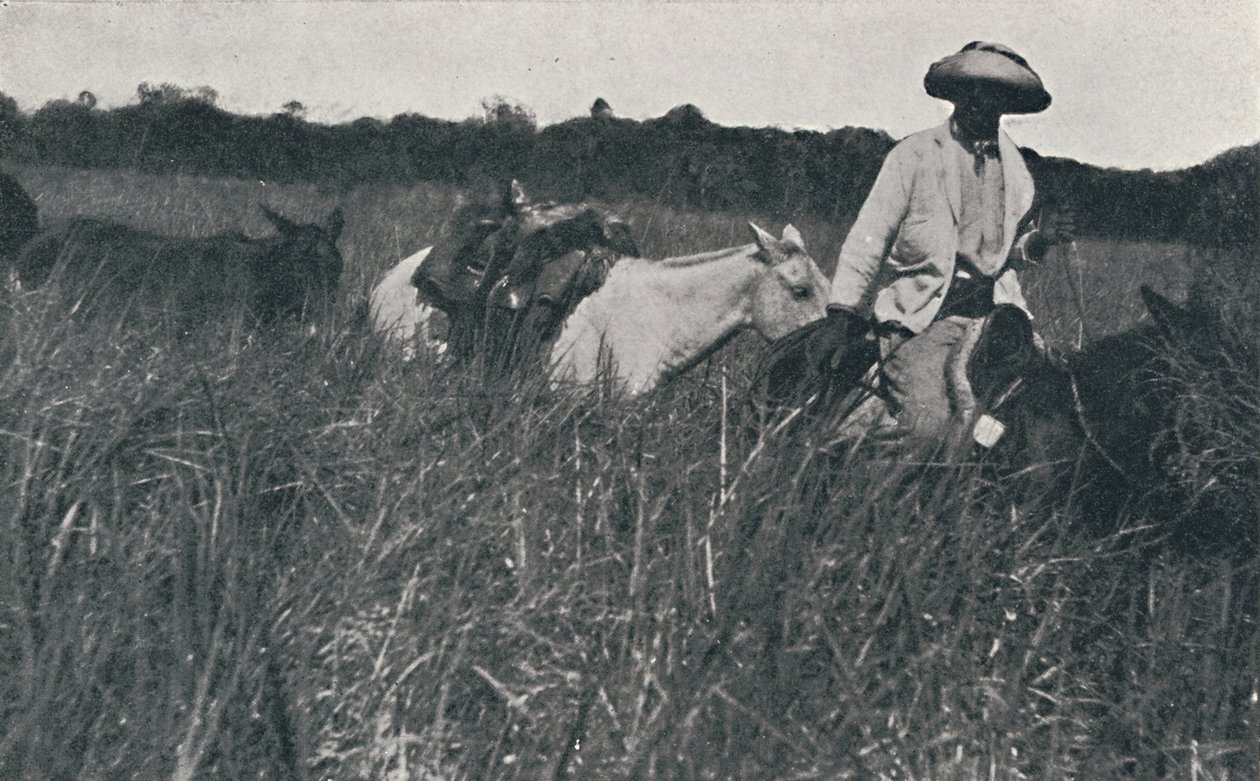1916年在南美大草原旅行 作者 不明
