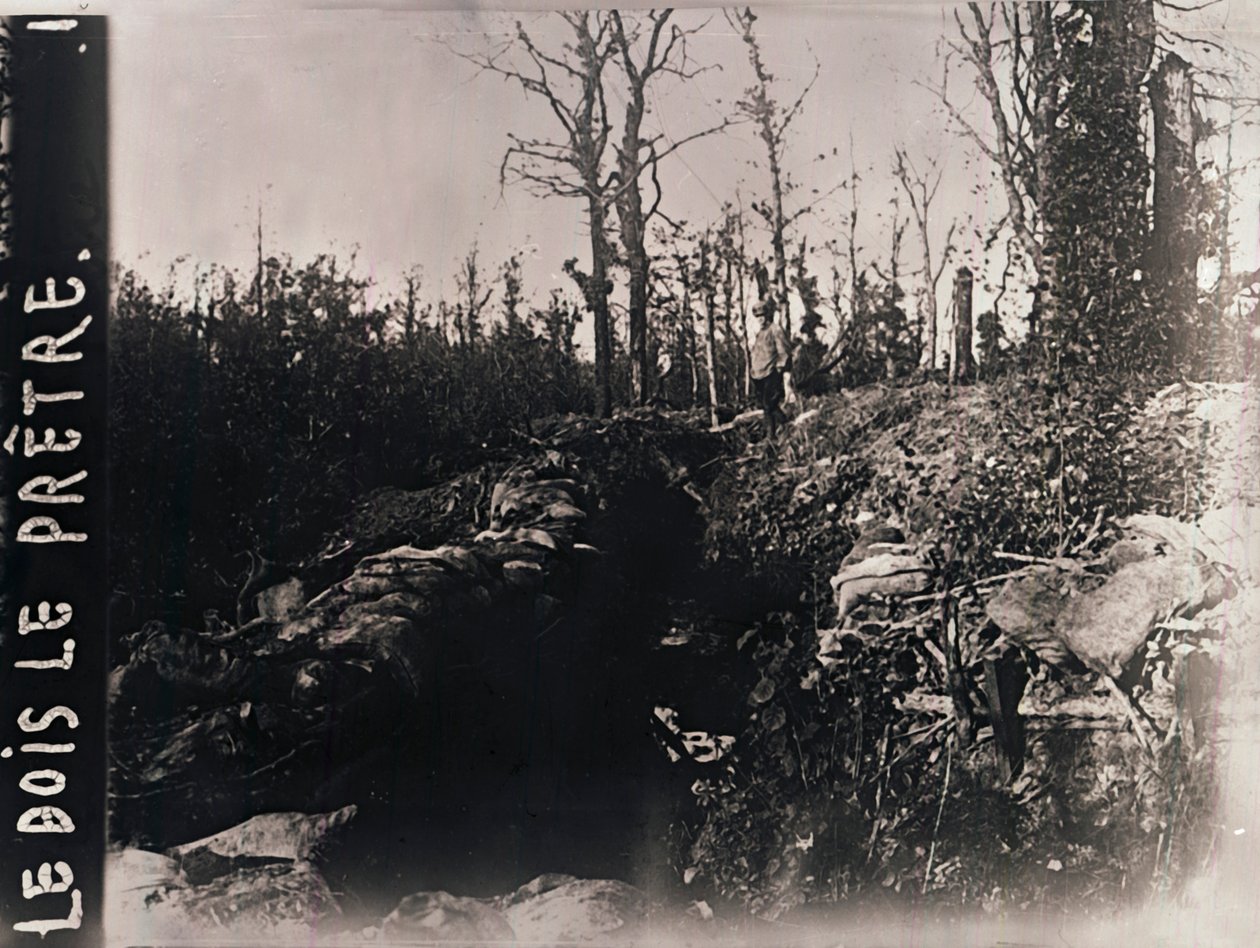 法国北部洛林Bois-le-Prêtre的战ren，c1914-c1918 作者 不明