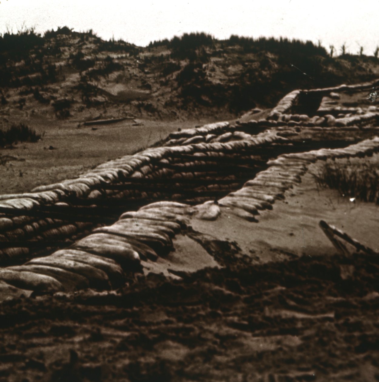 比利时佛兰德斯，Nieuwpoort，沙丘掩体中的战c，c1914-c1918 作者 不明