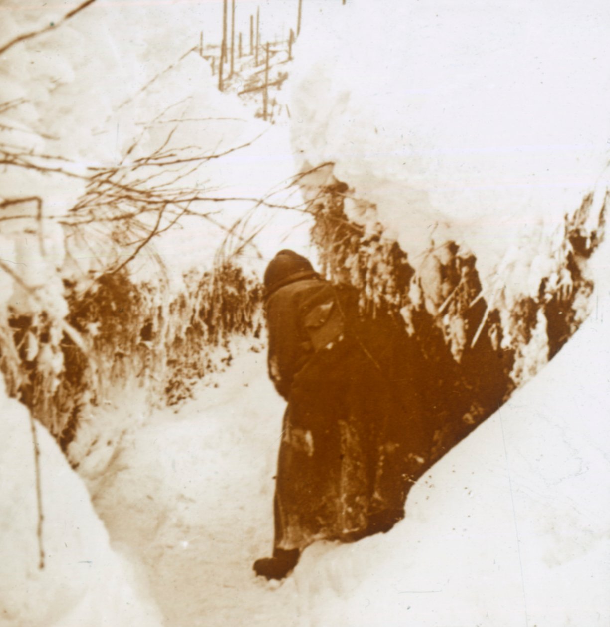 雪地上的战the，法国东部阿尔萨斯，c1914-c1918 作者 不明