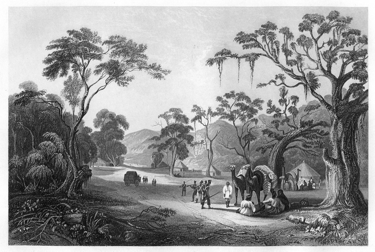 部队驻扎在印度密拉特北部的Keree Pass入口处，约建于1860年 作者 不明