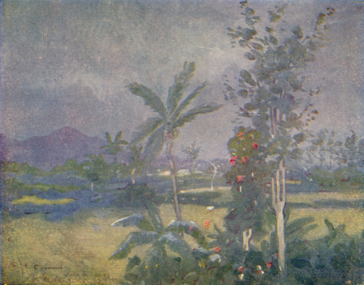 西印度群岛的热带降雨，1924年 作者 不明