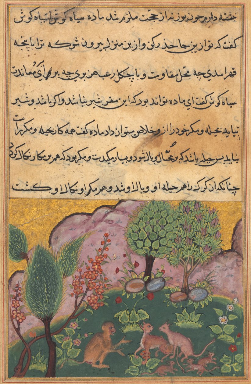 图蒂·纳玛（Tuti-Nama）的鹦鹉故事：故事二十一，c。 1560。 作者 不明
