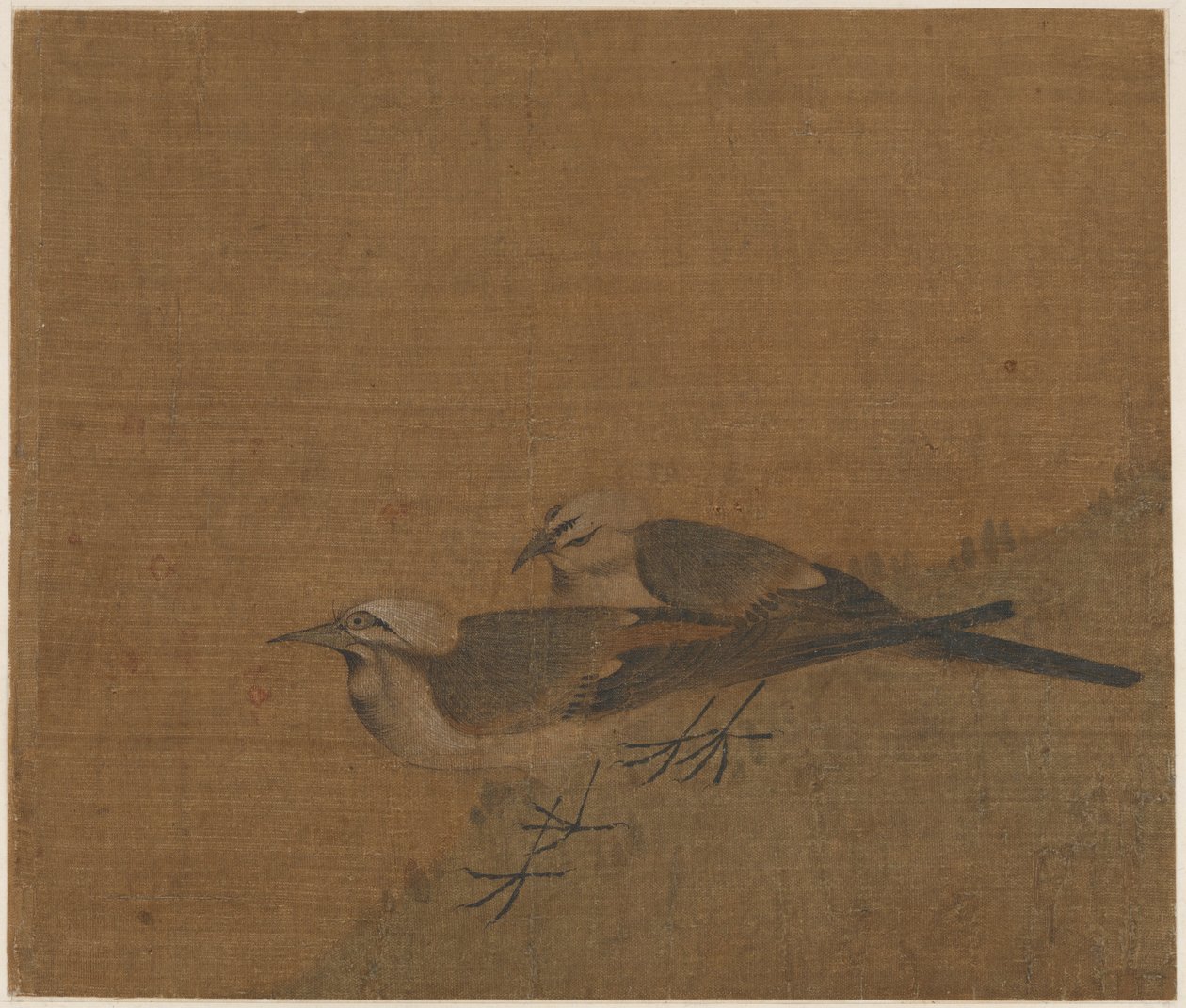 两只鹡鸰，元代，14世纪。 作者 不明