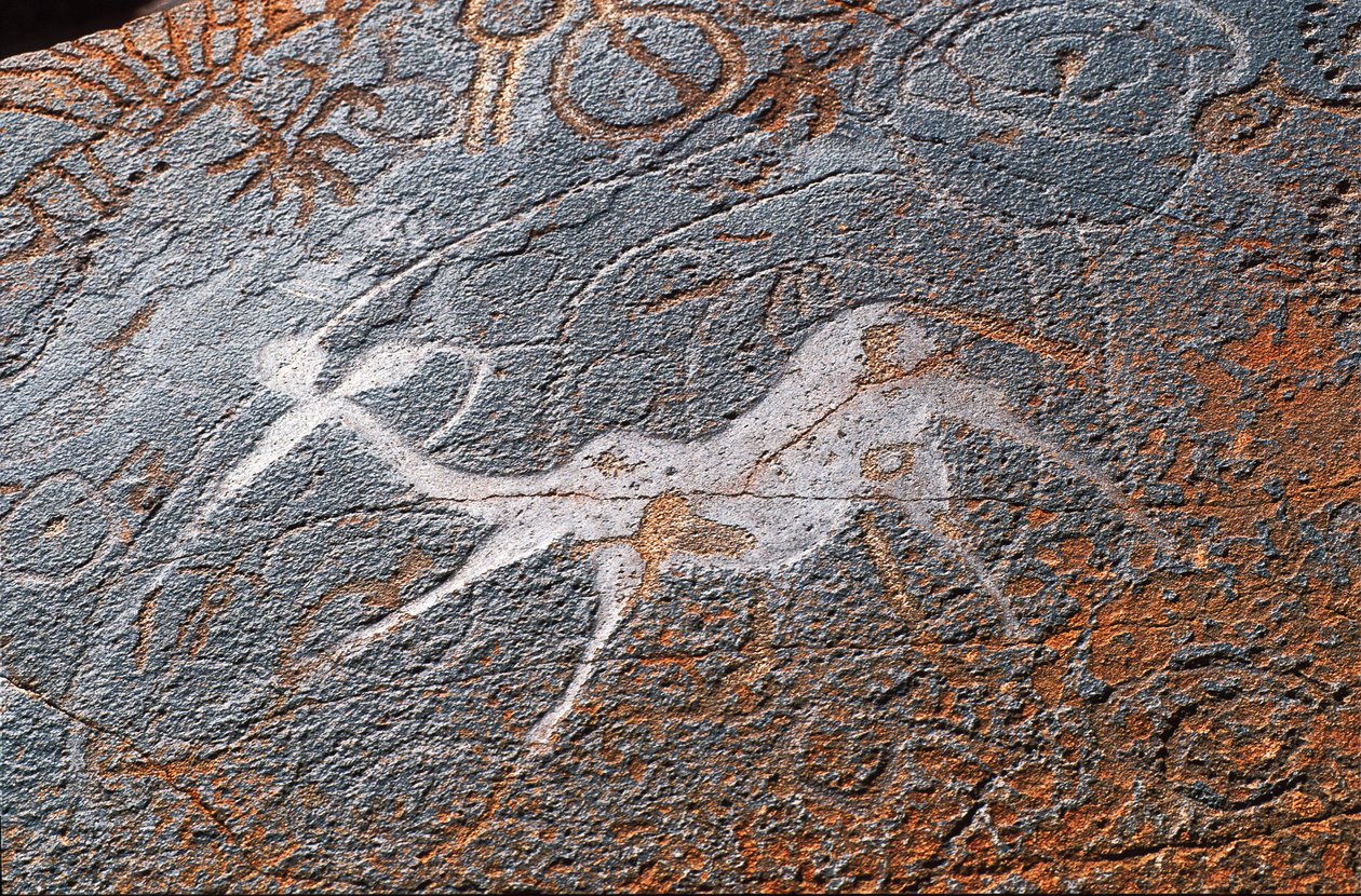 Twyfelfontein rock paintings, DAMARALAND, NAMIBIE 作者 不明