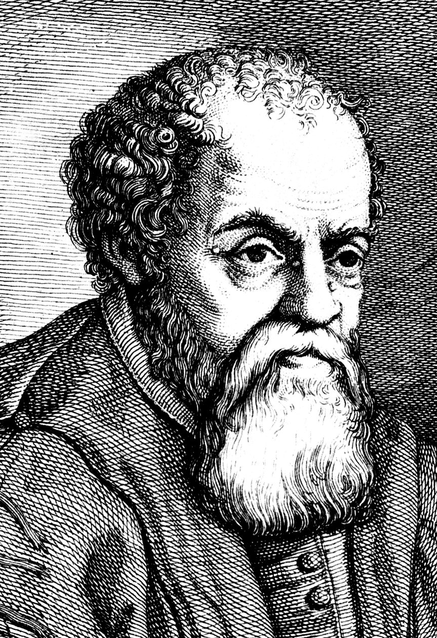 尤利西斯·阿尔德罗万迪（Ulysses Aldrovandi），16世纪，意大利博物学家，18世纪 作者 不明