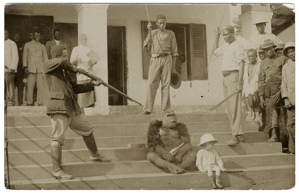 一只被驯服的大猩猩，约1910年（黑白照片）。 作者 不明