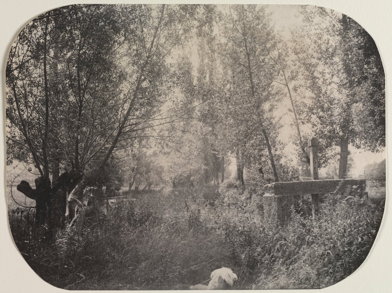 与狗无标题的风景c。 1910年。 作者 不明