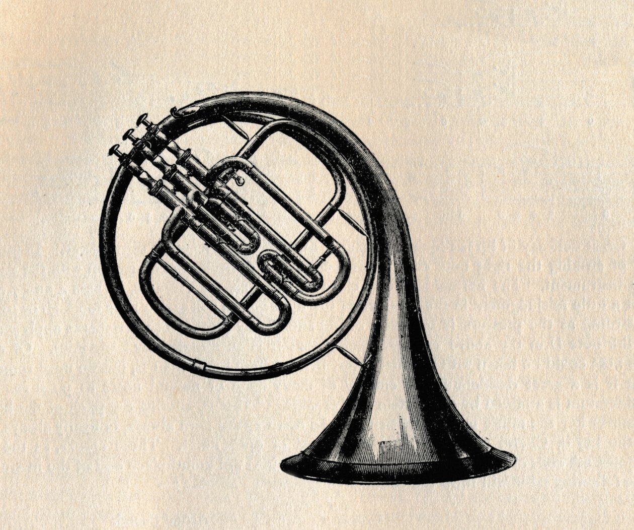 气门喇叭，1895年。 作者 不明