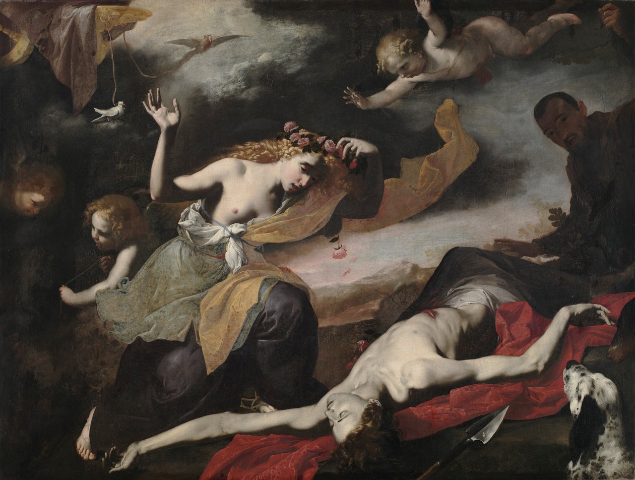 金星发现死了的阿多尼斯，c。 1650。 作者 不明
