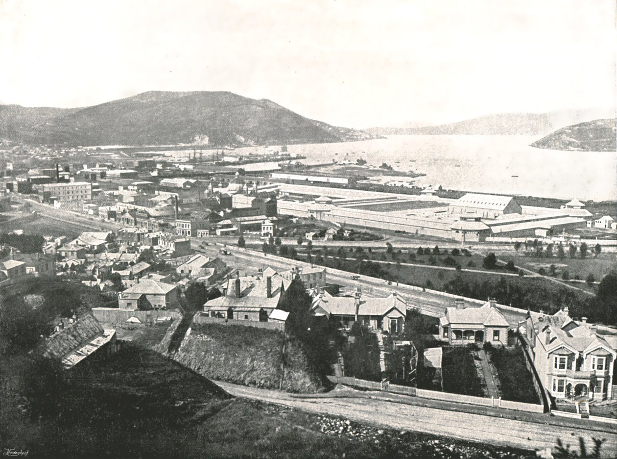 1895年，新西兰达尼丁，梅特兰街上的景色。 作者 不明