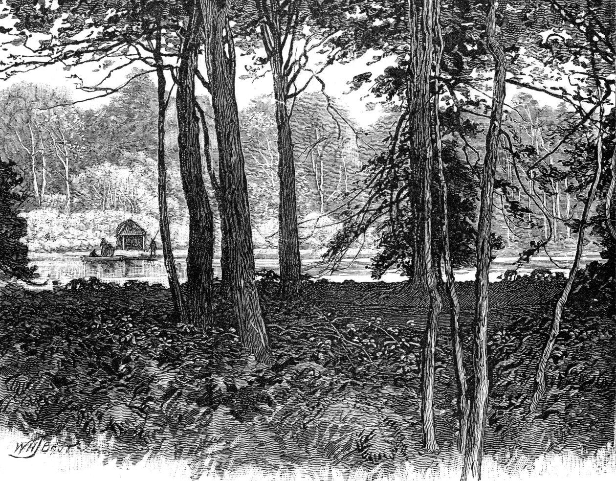 1900年，萨里克莱蒙特公园（Claremont Park）中的景色 作者 不明