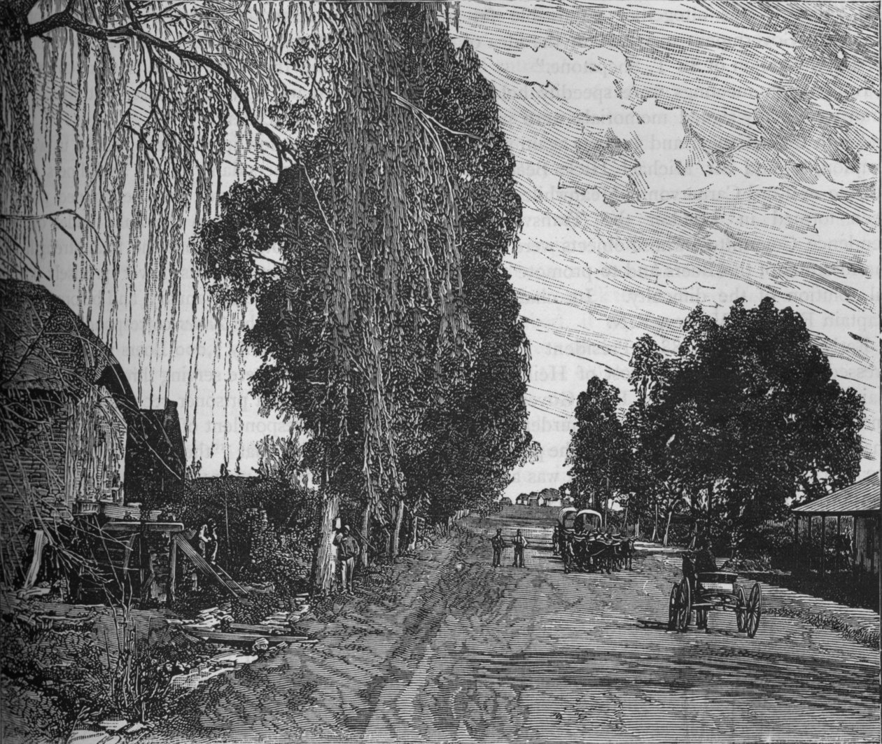 比勒陀利亚附近的风景，c1880 作者 不明