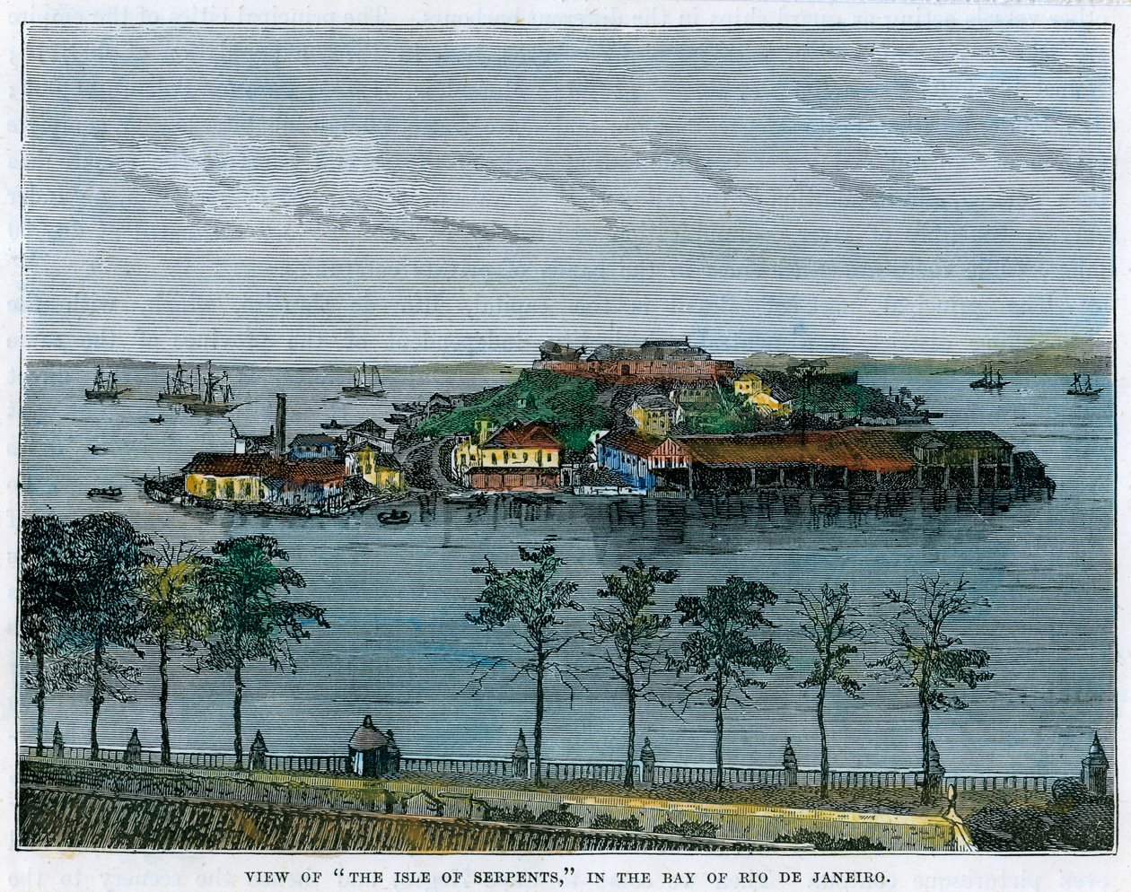 蛇岛的景色，在巴西里约热内卢湾，c1880 作者 不明