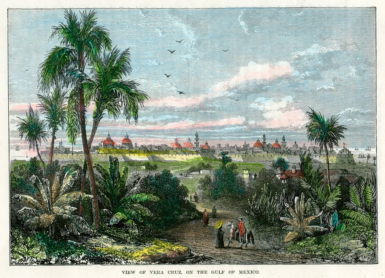 维拉克鲁斯的视图，在墨西哥湾，墨西哥，c1880 作者 不明