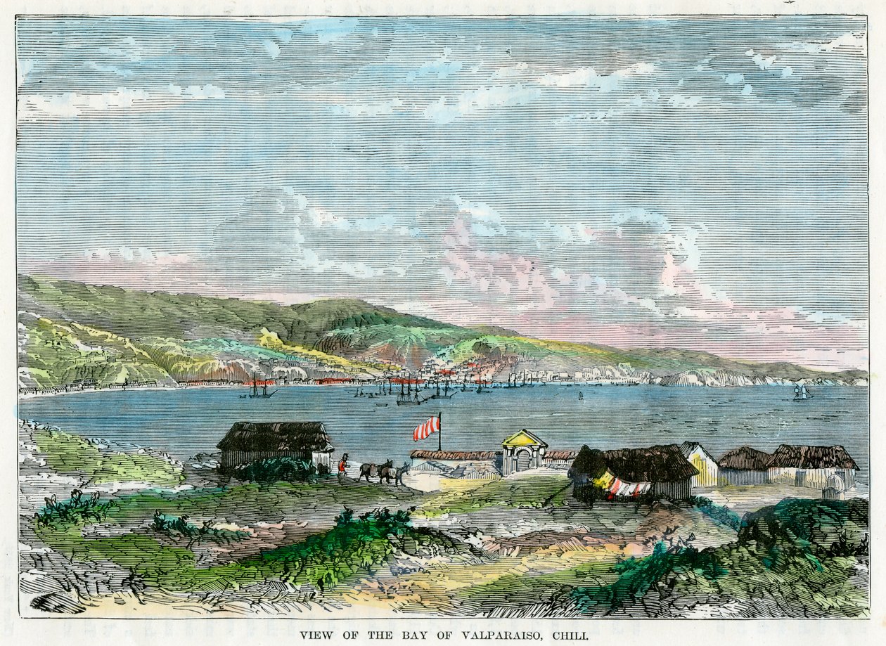 瓦尔帕莱索湾，辣椒，c1880年的视图 作者 不明