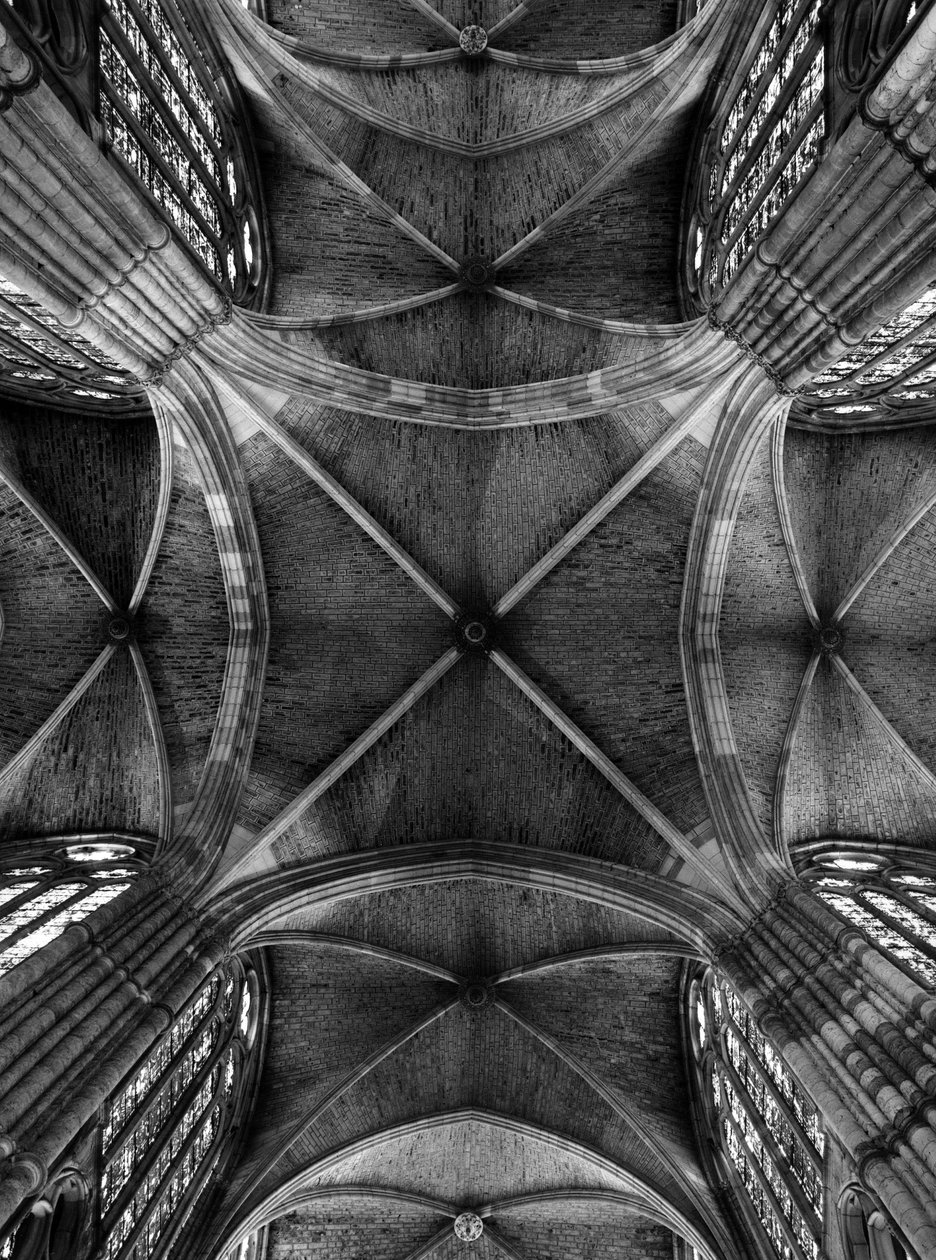 View of the vaults of the nave of the Cathedrale Santa Maria de la Regla 作者 不明